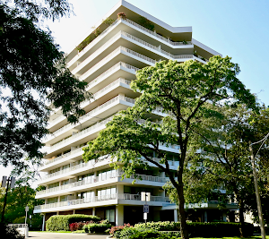 Annex Dentistry place picture